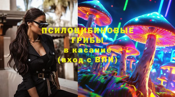 стаф Беломорск
