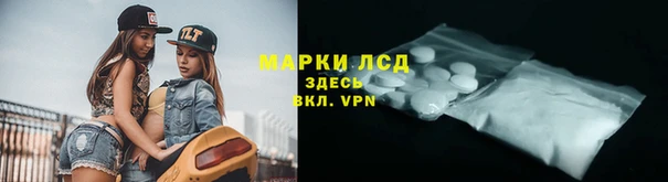 стаф Беломорск